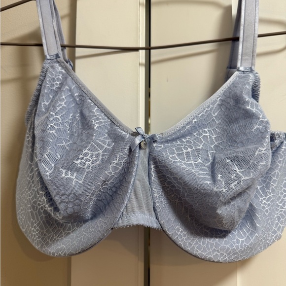 Elegant Chantelle Women's Bra C  Magnifique,Seamless,Minimizer, Rare color 34i - Picture 1 of 8